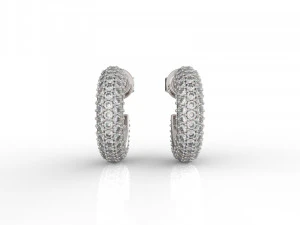 earring 301 jewelry 3D Print Model