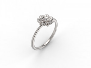set 362 jewelry 3D Print Model