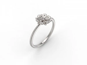 set 362 jewelry 3D Print Model