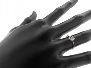 set 362 jewelry 3D Print Model