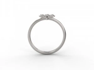 set 362 jewelry 3D Print Model