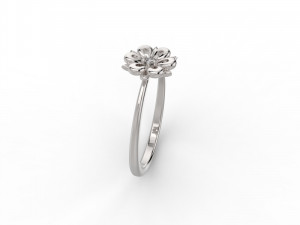 set 362 jewelry 3D Print Model