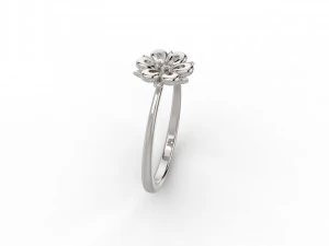 set 362 jewelry 3D Print Model
