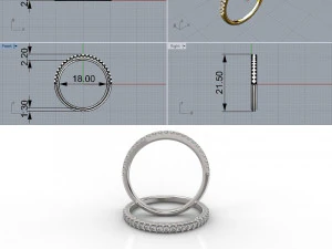 ring 343 jewelry 3D Print Model