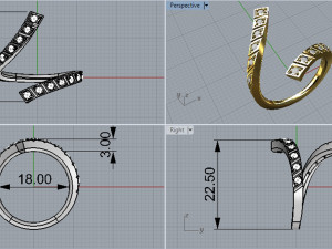 ring 306 jewelry 3D प्रिंट मॉडल