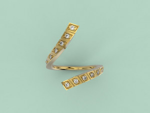ring 306 jewelry 3D प्रिंट मॉडल