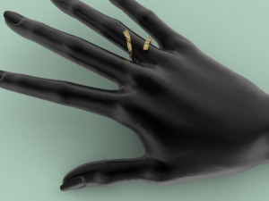 ring 306 jewelry 3D प्रिंट मॉडल