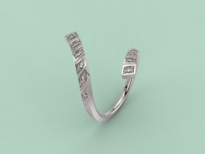 ring 306 jewelry 3D प्रिंट मॉडल