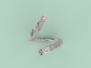 ring 306 jewelry 3D प्रिंट मॉडल