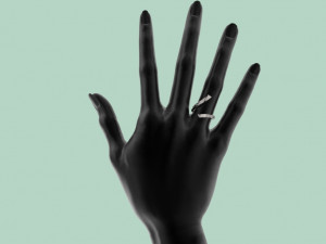ring 306 jewelry 3D प्रिंट मॉडल