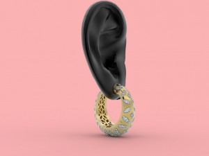 earring 308 jewelry Modelo de impresión 3D
