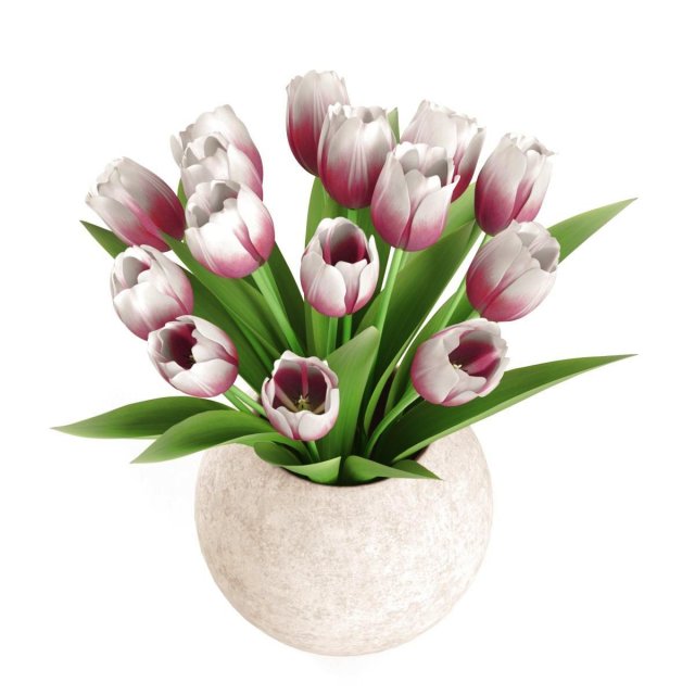bouquet of tulips Model 3D .c4d .max .obj .3ds .fbx .stl .blend 