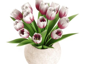 bouquet of tulips 3D Model
