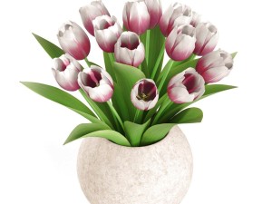 bouquet of tulips Model 3D