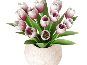bouquet of tulips Model 3D