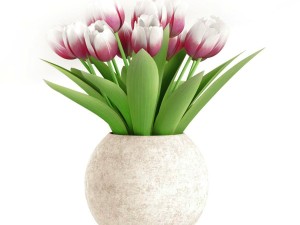 bouquet of tulips Model 3D