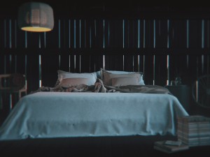 rustic barn bedroom interior lust 3D Model