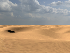 landscapes 3D Model