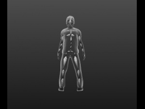 humanoid Model 3D