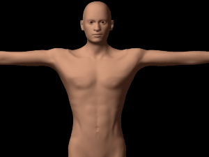 humanoid 3D मॉडल