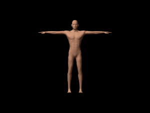 humanoid 3D 模型