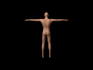 humanoid 3D 模型
