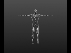 humanoid 3D 模型