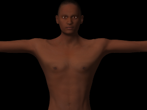 humanoid 3D मॉडल