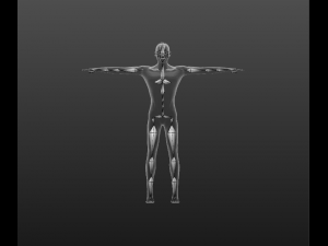 humanoid 3D मॉडल