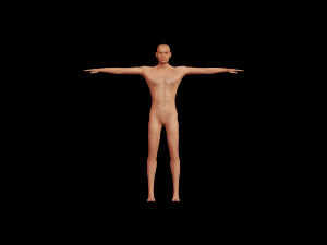 humanoid 3D मॉडल