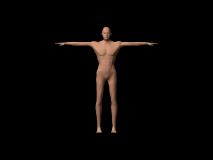 humanoid 3D मॉडल