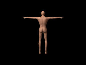 humanoid 3D 모델