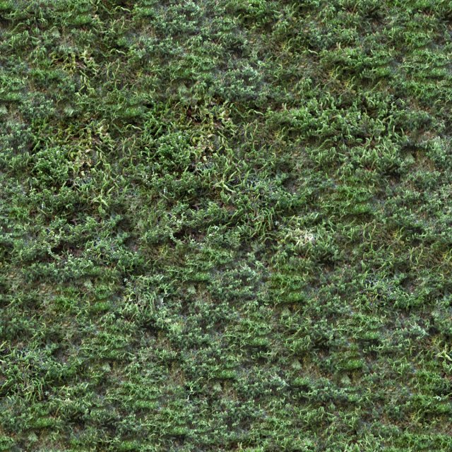 moss CG टेक्स्चर्स .c4d .max .obj .3ds .fbx .stl .blend 
