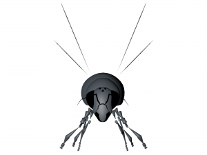 New bee model for game design and animation 3D Модель