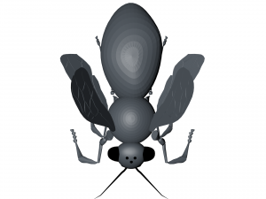 New bee model for game design and animation 3D Модель