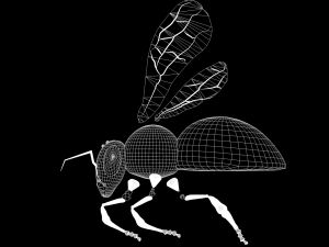 New bee model for game design and animation 3D Модель