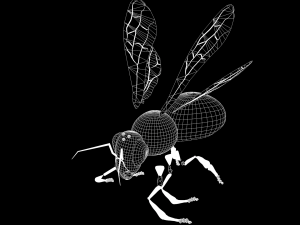 New bee model for game design and animation 3D Модель