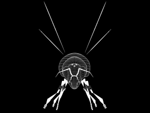 New bee model for game design and animation 3D Модель
