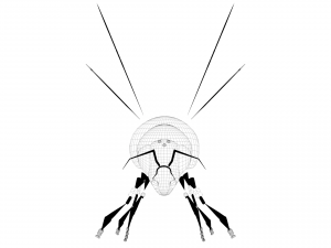 New bee model for game design and animation 3D Модель
