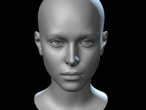 head base mesh 3D Model