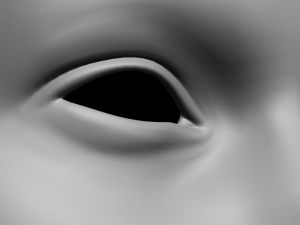 head base mesh 3D Model