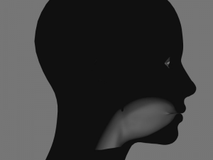 head base mesh 3D Model