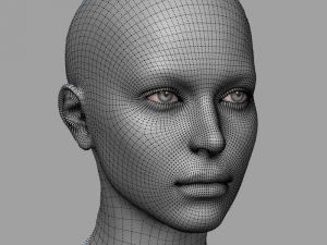 head base mesh 3D Model