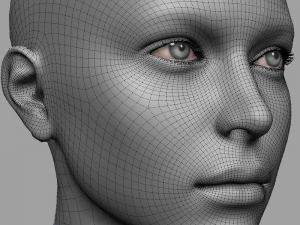head base mesh 3D Model