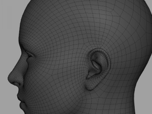 head base mesh 3D Model