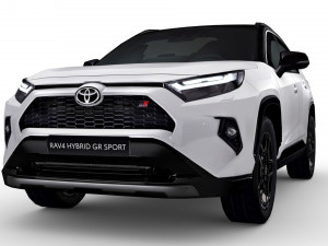 Toyota rav4 sport on sale