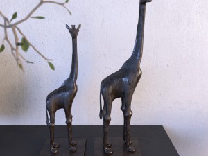 africa 3D Model