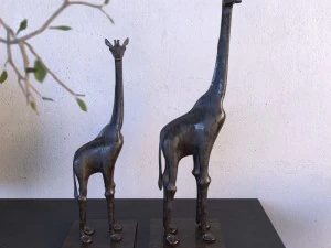africa 3D Model