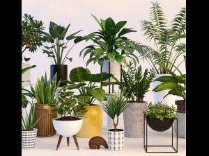 plants 3D Model