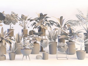 plants 3D Model
